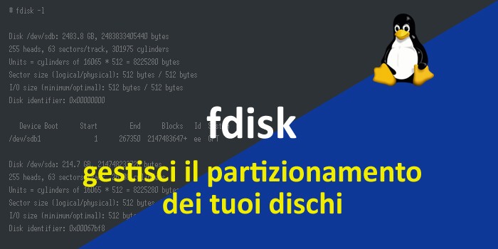 Gestire le partizioni di un disco da riga di comando, con fdisk.